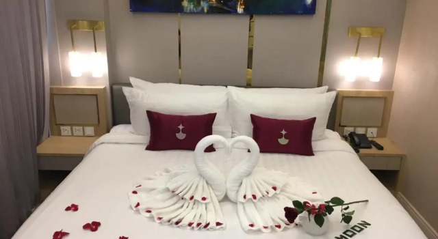 Elegant Airport Hotel