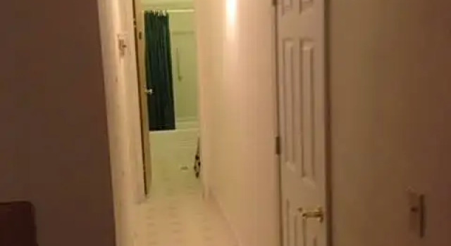 Номер Deluxe Comfort Green Motel
