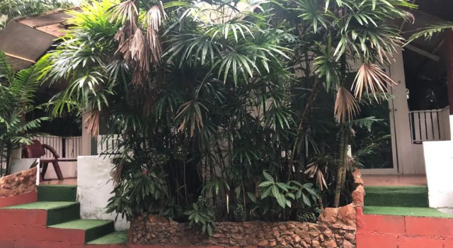 Бунгало с балконом и рядом с пляжем Pine Bungalow Krabi