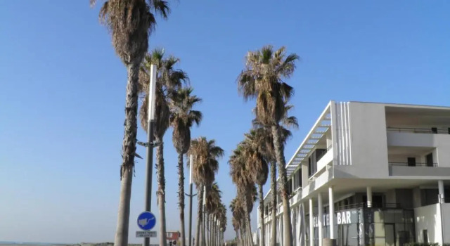 Appartement Sète, 1 pièce, 4 personnes - FR-1-338-324