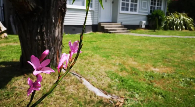 Cheerful 4 Bedroom Holiday Home (Sleeps 7), Rezerwuj Hotel Rotorua 