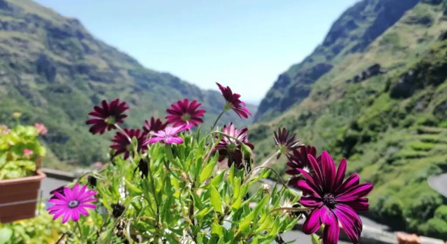 Коттедж с 3 комнатами Green Valley House Madeira