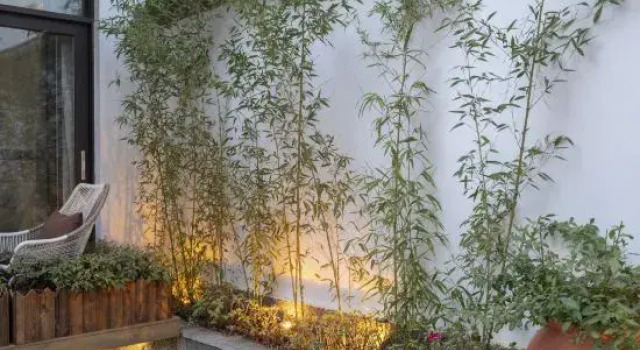 Floral Lux Hotel · living in another courtyard (Lijiang ancient city light luxury store)