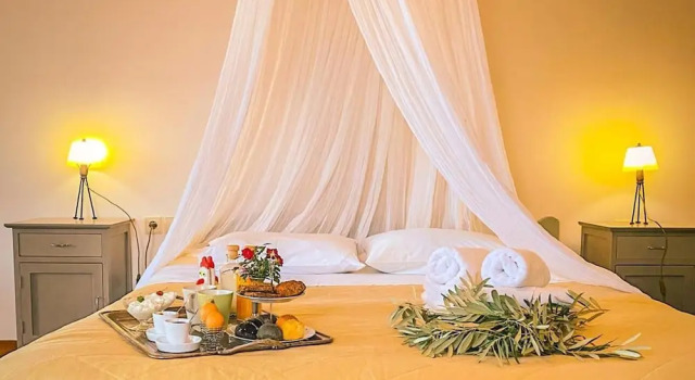 Palia Damouchari, Book Hotel  