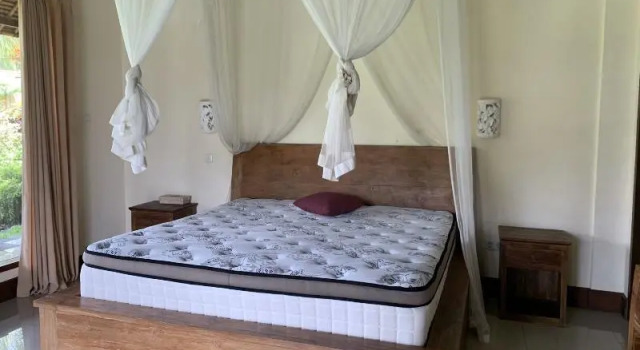 Люкс Deluxe с балконом Bagiya Suites & Villas