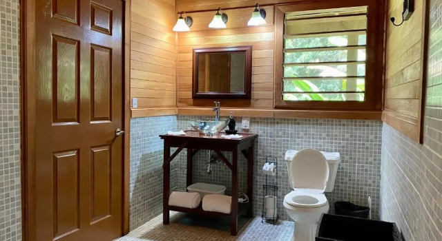 Standardowy pokój z widokiem na rzekę Dream Valley Belize