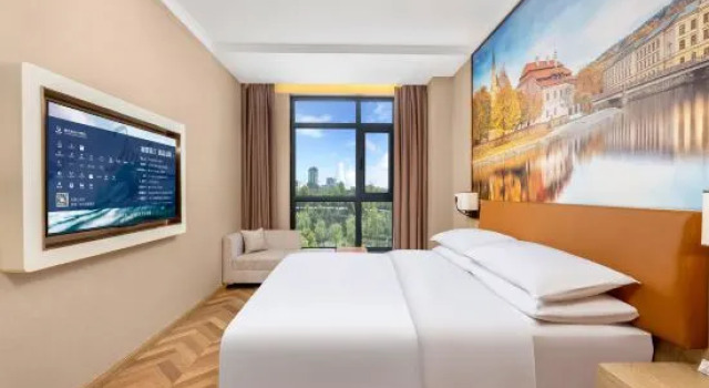 Люкс Business Vienna Hotel (Cangzhou·Huanghua People's Hospital New Campus Branch)