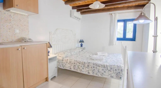 Двухместный номер Standard Paros Eden Park