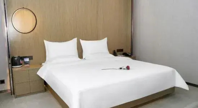 Люкс Deluxe yinchuan  xiyue Holiday hotel