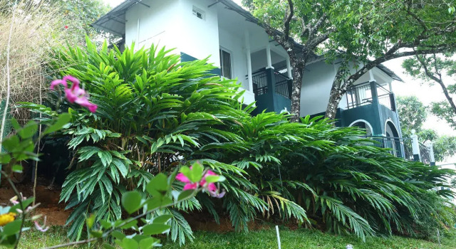 Семейный коттедж Munnar Tea Hills Resort - MTHR