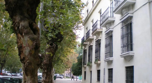 Apartamentos Murallas de Sevilla, Забронировать Апартаменты/квартира Нервион Севилья, рядом с Торре-дель-Оро