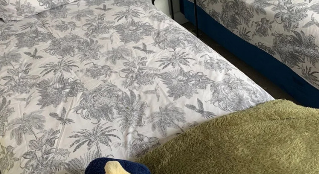 Коттедж Standard House of cosy dots