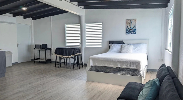Villa Mango, Đặt Biệt thự Khách sạn ở Fajardo có hồ bơi, Hồ bơi