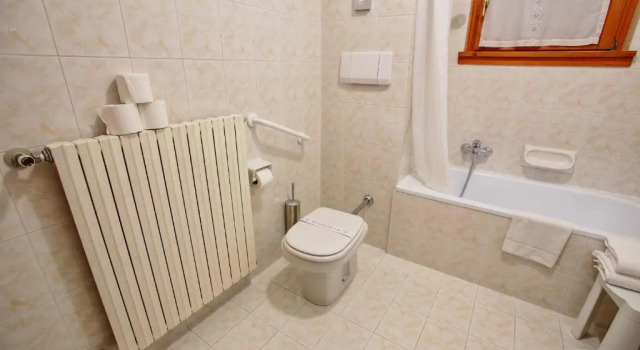 Двухместный номер Standard Hotel Des Alpes