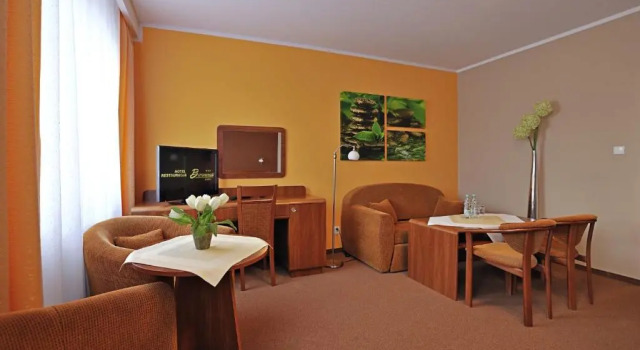 Номер Superior Hotel Baranowski