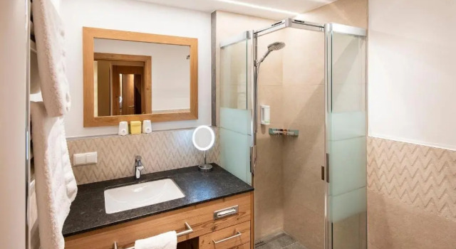 Двухместный номер Standard с видом на озеро Hotel Seeblick