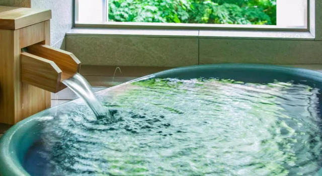 Номер Deluxe Nasu Onsen Sanraku