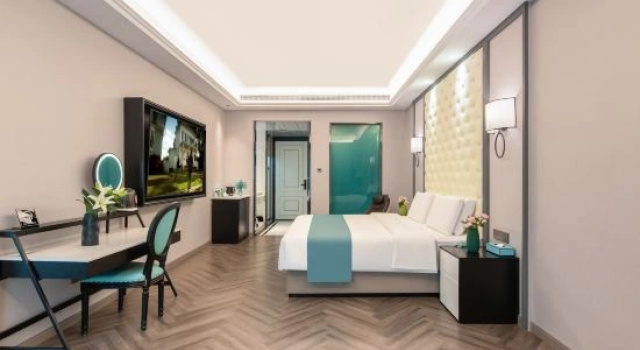 Люкс Business с красивым видом из окна AID Airandi Hotel