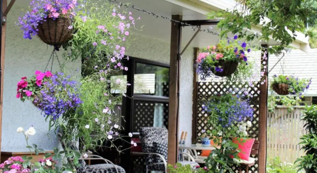 Номер Deluxe Annick House Bed and Breakfast