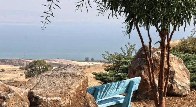 בקצה הכנרת - 4 צימרים מהממים עם גקוזי ונוף לכנרת, Забронировать Апартаменты/квартира Апартаменты Тивериадского озера, Апартаменты/квартира
