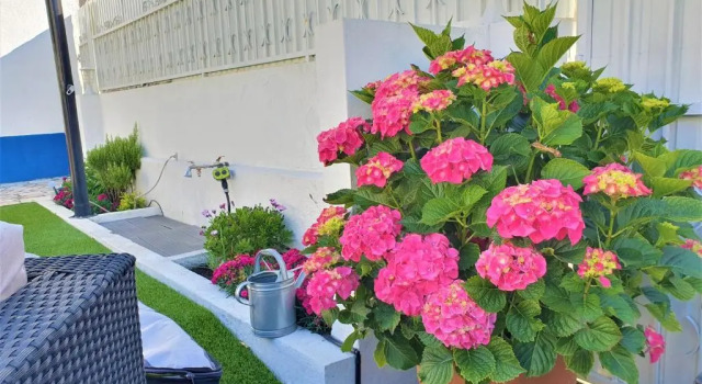 Коттедж с 2 комнатами Vila Maria Apartments by Host-Point