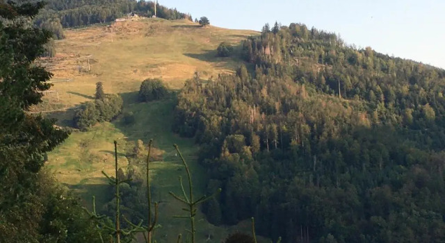 Апартаменты Fewo Talblick - 2 Schlafzimmer - Todtnau, Feldberg