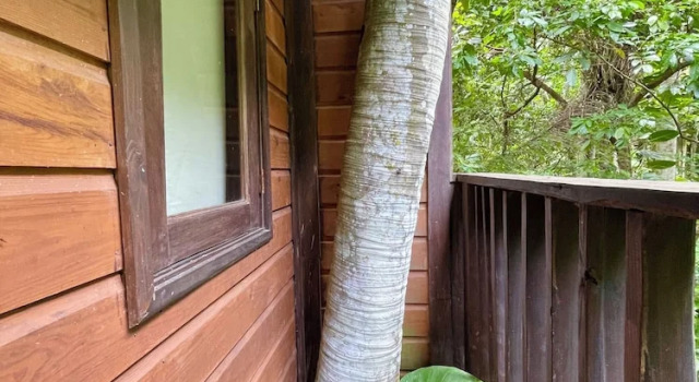 Люкс Deluxe Platon Ecolodge