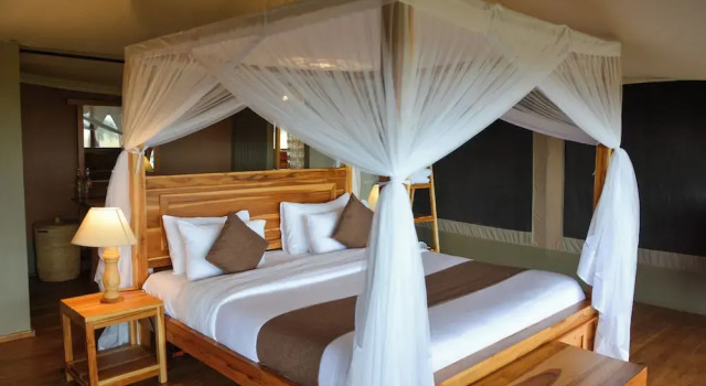 Двухместный номер Deluxe с видом на парк Manya Luxury Camp