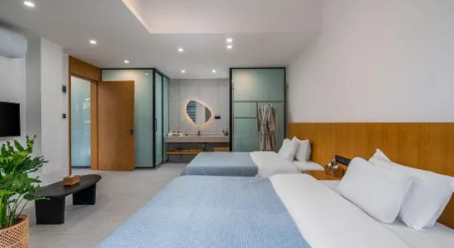 Люкс Deluxe Zijin Shanshui No.1 Guli Hot Spring Homestay