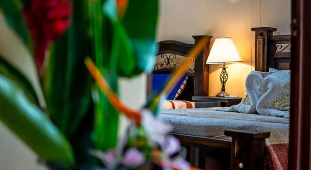 Вилла Aunty Arenal Lodge