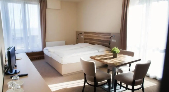 Habitación doble Estándar Hotel Monínec
