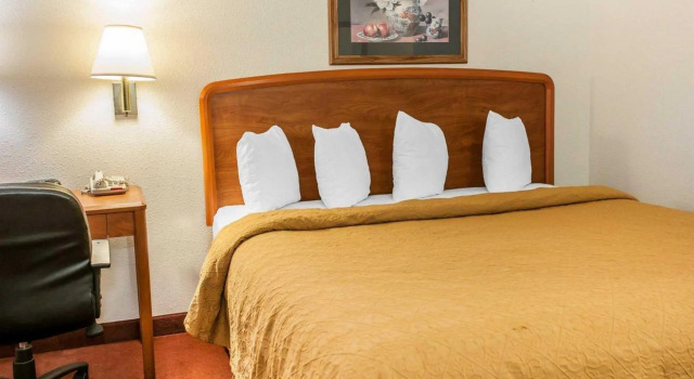 Номер Standard Quality Inn South