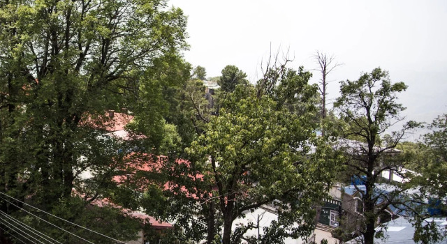 Номер Standard Metropole Hotel
