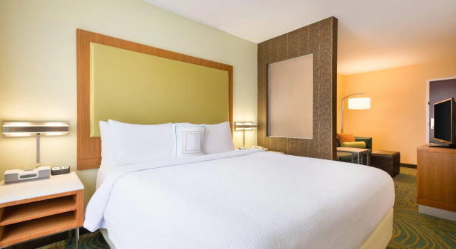 Двухместный люкс SpringHill Suites by Marriott Little Rock