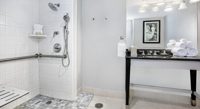Двухместный номер для гостей с ограниченными возможностями Standard Hotel Indigo Dallas Downtown by IHG