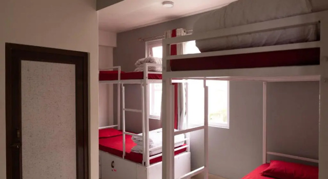 Cama en dormitorio compartido (dormitorio compartido femenino) Tag Along Backpackers