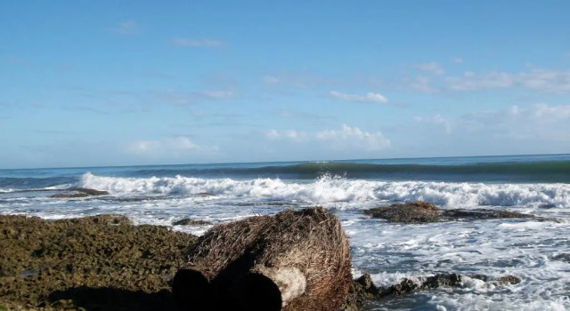Piscina Natural on the Sea, Đặt Khách sạn Khách sạn ở Cahuita có hồ bơi, Hồ bơi