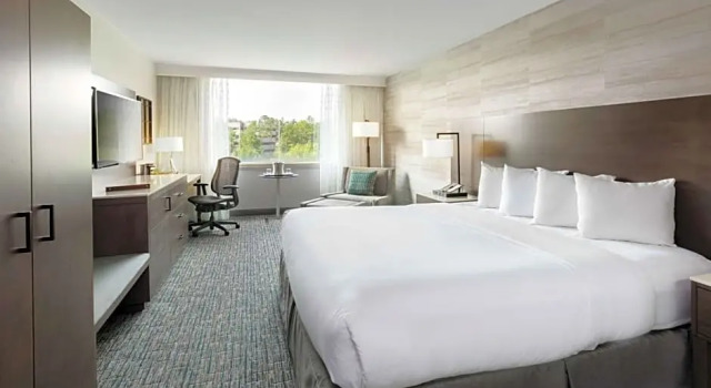 Люкс Standard DoubleTree Birmingham Perimeter Park