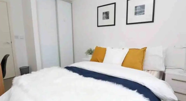 Апартаменты Deluxe Albany Apartments