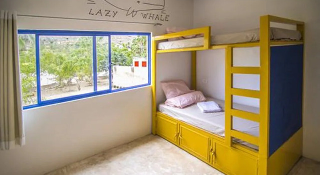 Todos Santos Hostel super fast and stable satellite wifi, Забронировать Хостел Недорогие отели Тодос-Сантос, недорого