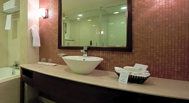 Двухместный номер Premium The Golden Plaza Hotel