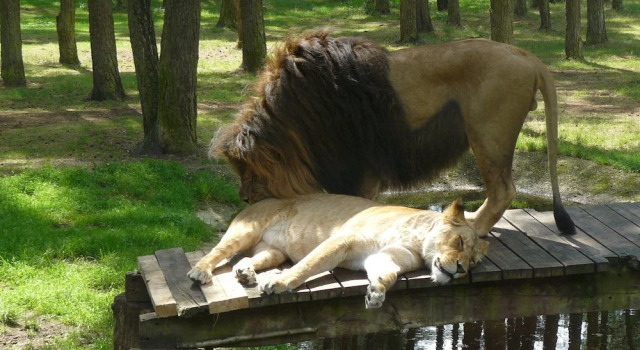 Коттедж Heathside Family Retreat