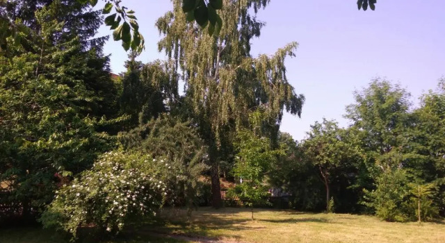 Коттедж Dat Rügenhus