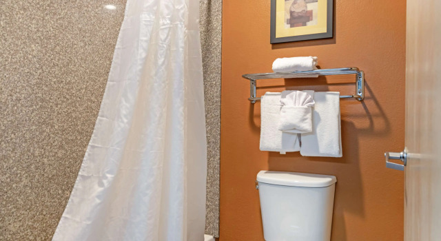Двухместный номер Standard Best Western Inn & Suites New Braunfels
