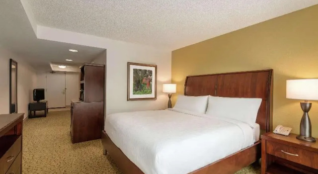Номер Hilton Garden Inn Orlando East - UCF Area