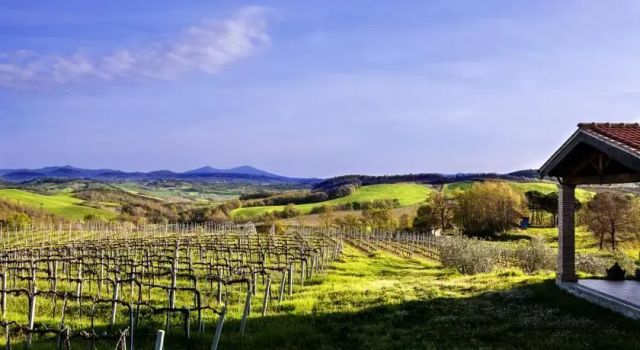 Fattoria Orsa Maggiore