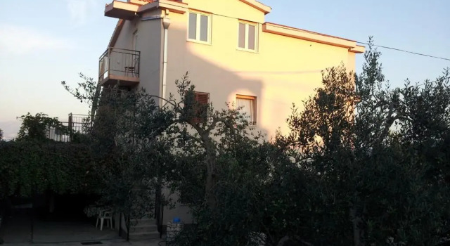 Apartments Jelica