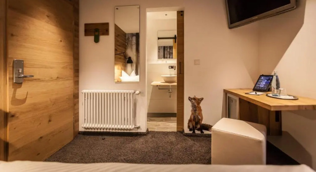 Одноместный номер Standard Bollenhuthotel Kirnbacher Hof