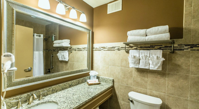 Номер Standard Holiday Inn Newark International Airport