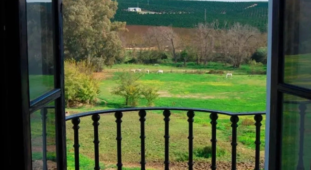 Номер Deluxe Hotel Cortijo El Esparragal